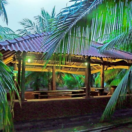 Heina Nature Resort - Eco Home And Yala Safari กตรคาม ภายนอก รูปภาพ